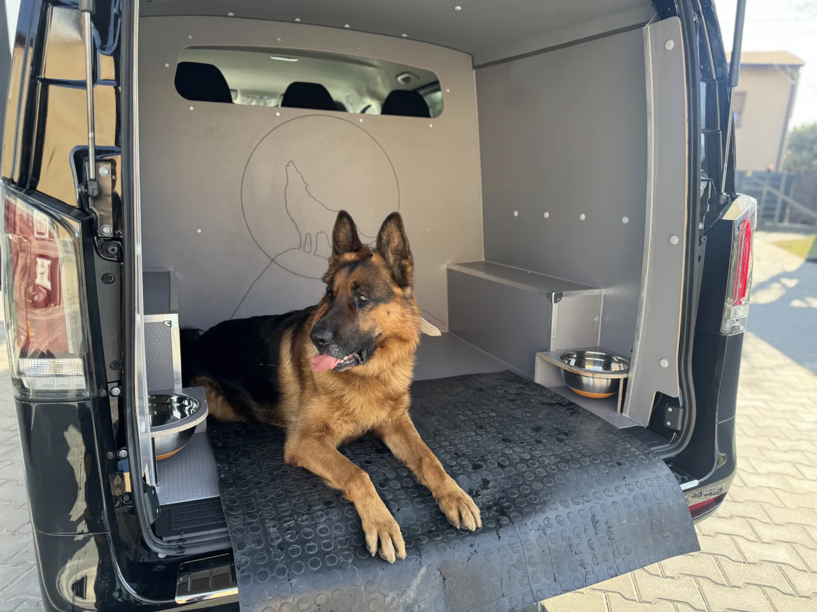 Mercedes Vito for Dog Transport