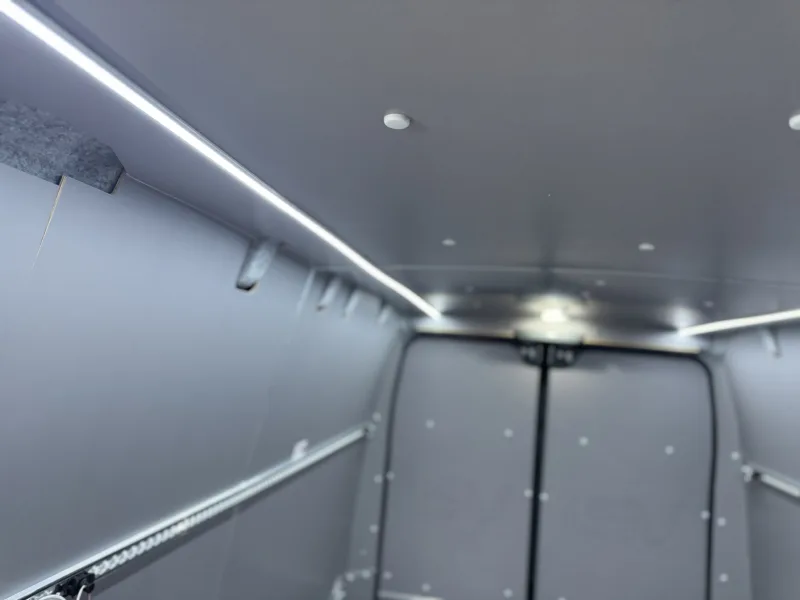 Ceiling insulation and paneling with lighting